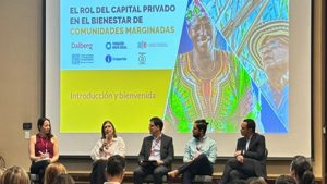 Embedding Social Impact in Business Strategy: Reflections from Businesses and Social Leaders in Latin America 